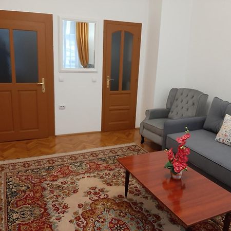 סיביו Apartament Anatol מראה חיצוני תמונה